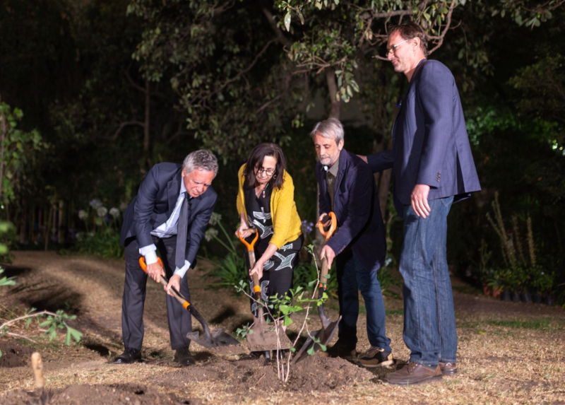 La piantumazione di uno dei Ginko Biloba che diventeranno un boschetto intensivo, piantati a Città del Messico, in memoria delle vittime della strage di Capaci, del 23 maggio 1992