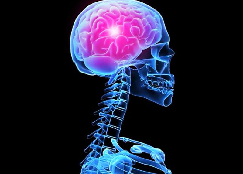 Glioblastoma
