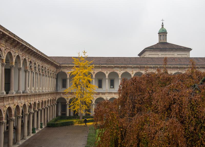 Università degli Studi di Milano
