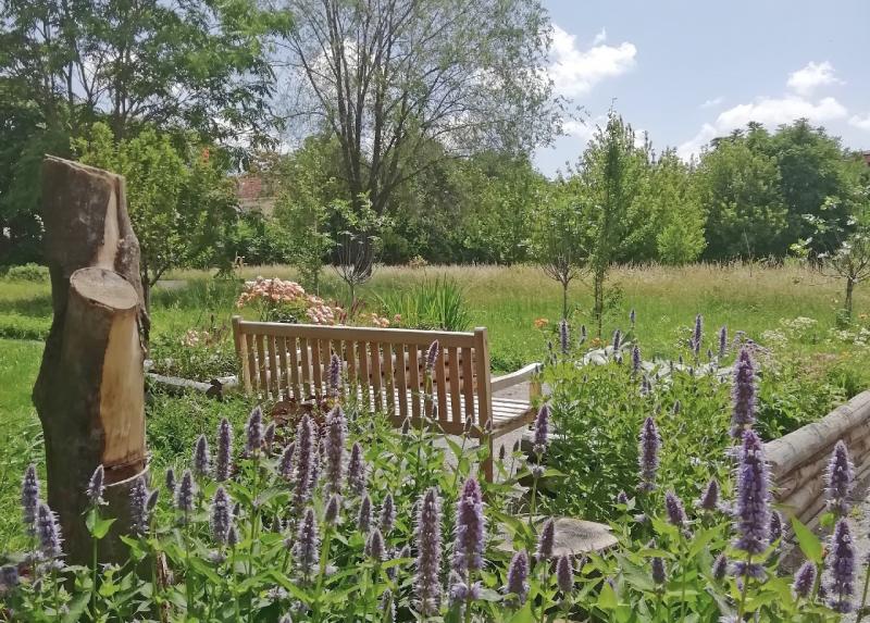 Gli spazi del restorative garden progettato dall'Università Statale
