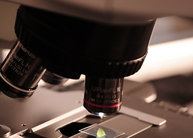 Laboratorio di ricerca