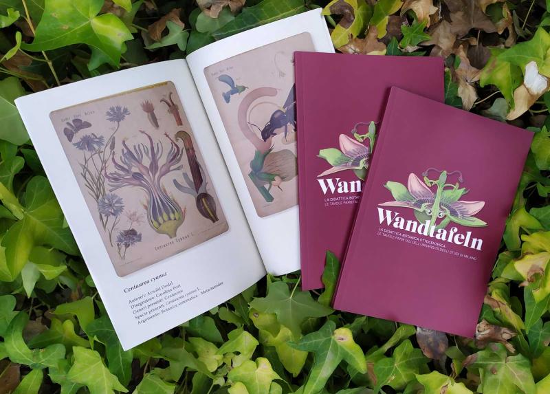 Il catalogo della mostra Wandtafeln