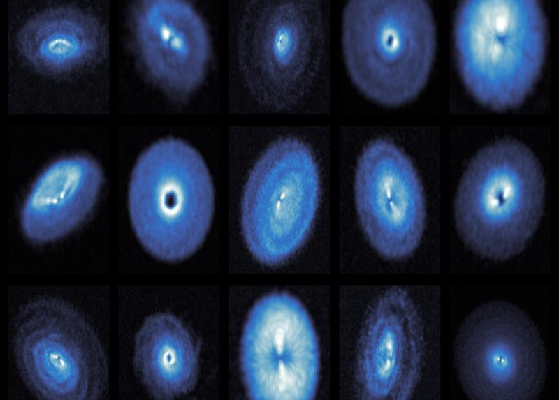 Le osservazioni ALMA profonde dell'emissione 12CO di quindici dischi protoplanetari rivelano una straordinaria gamma di strutture nella morfologia del gas, tra cui lacune, anelli e spirali. Crediti: Richard Teague e la Collaborazione exoALMA.