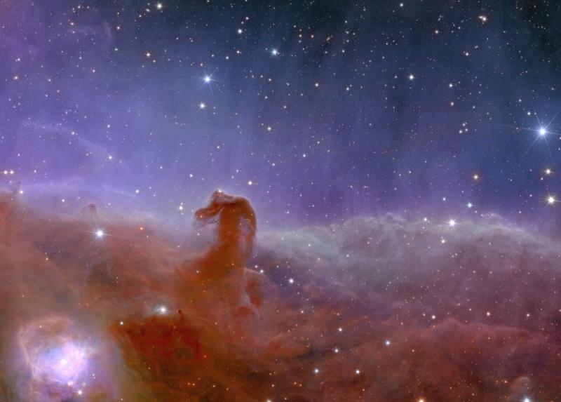 La Nebulosa Testa di Cavallo. Crediti immagine: ESA/Euclid/Euclid Consortium/NASA, image processing by J.-C. Cuillandre (CEA Paris-Saclay), G. Anselmi; CC BY-SA 3.0 IGO.