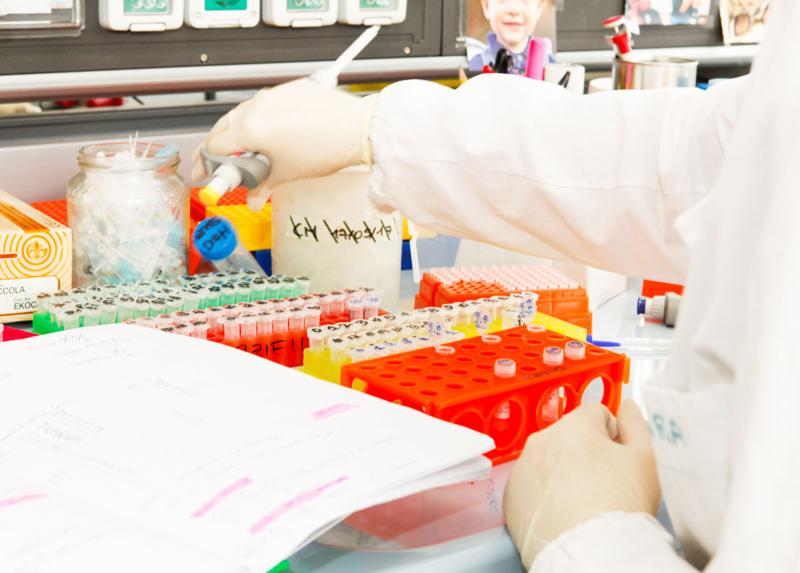Laboratorio di Graziella Messina