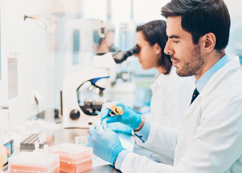 Le proteine “sostenibili”: al termine della produzione i ribosomi non vengono scartati ma integrati in un nuovo ciclo di sintesi