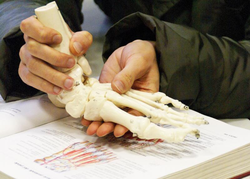 Lezione di Anatomia