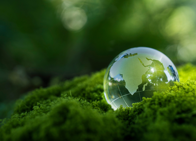 rogetto MARVEL: Educazione alla Sostenibilità per un Futuro Responsabile