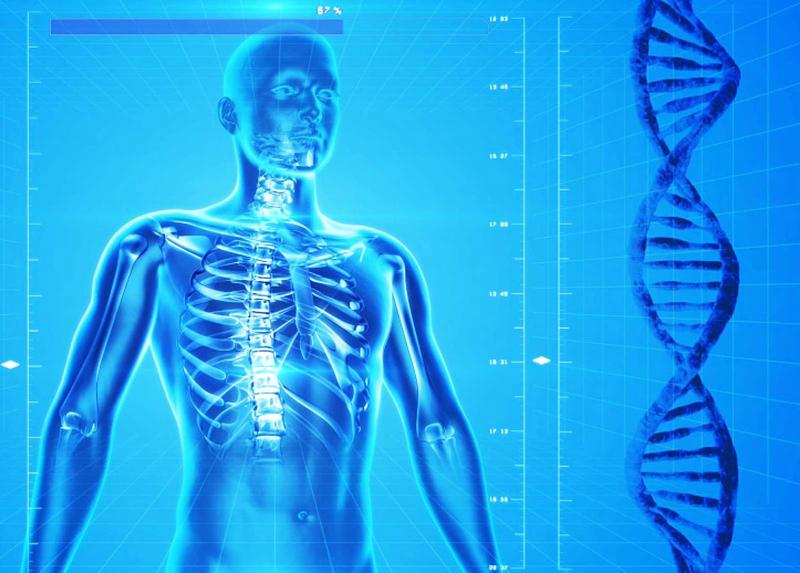 Corpo umano con doppia elica di DNA
