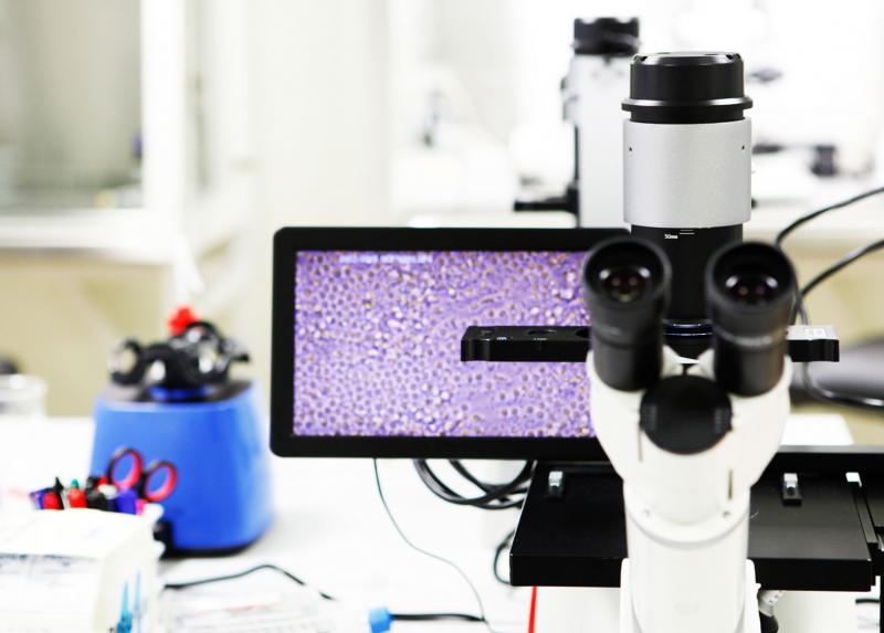 Microscopio