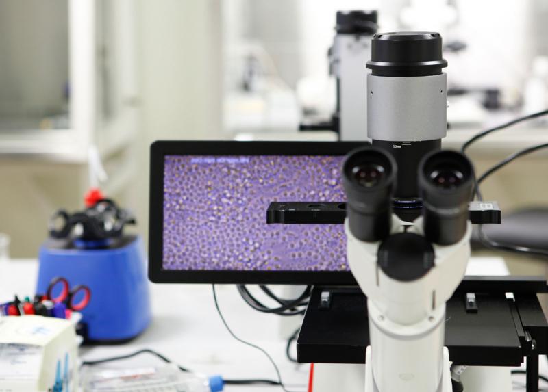 Microscopio digitale