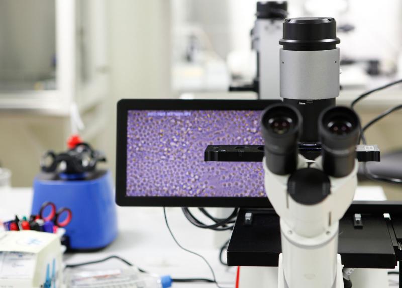 Microscopio elettronico