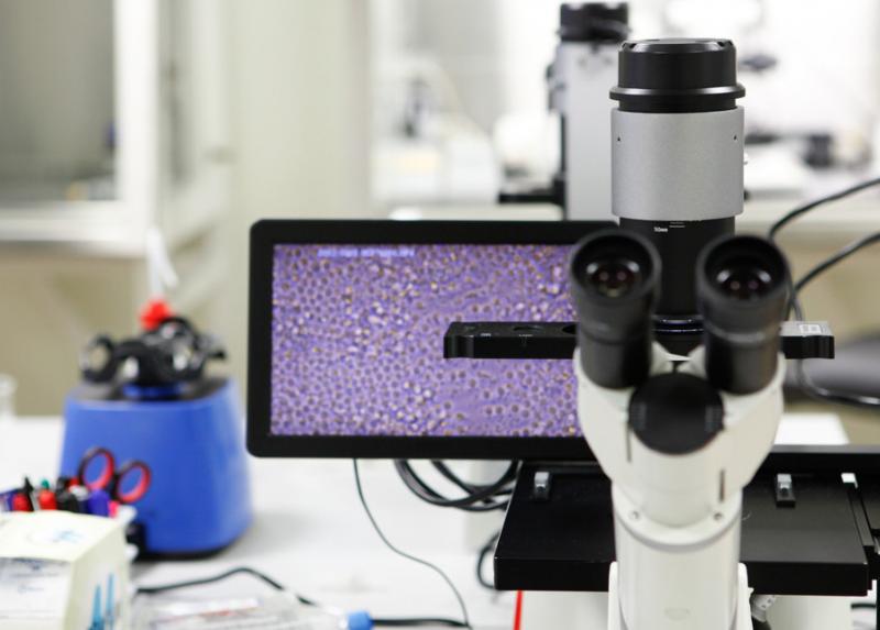 In laboratorio