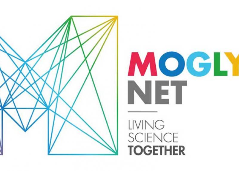Il logo del progetto Moglynet