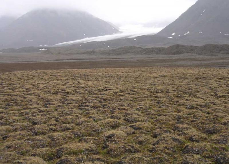 Morena del ghiacciaio Midtre Lovénbreen