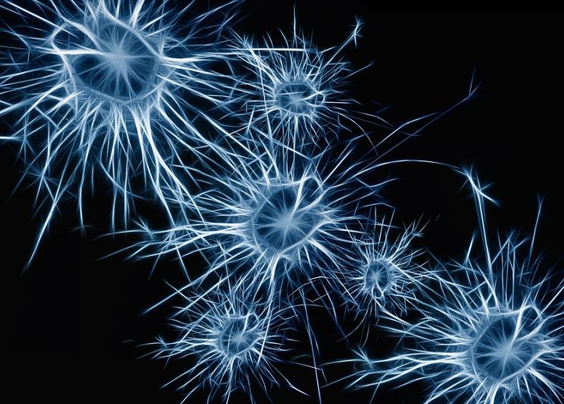 Neuroni