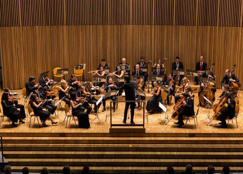 L'Orchestra d'Ateneo in Aula Magna - Foto di Nicola Cordì. Istituto Italiano di Fotografia