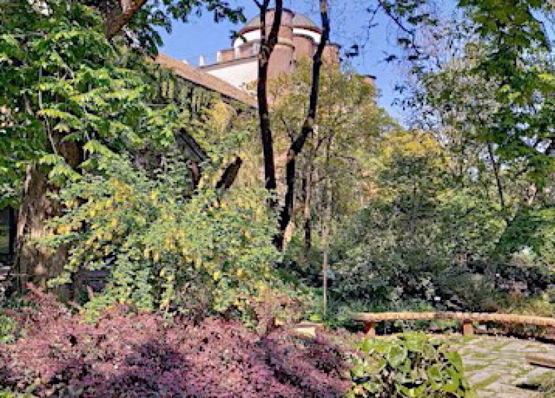 Uno scorcio dell'Orto Botanico di Brera