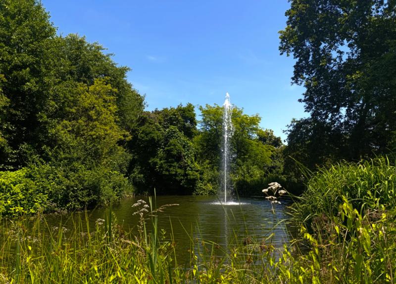 Veduta dell'Orto botanico di Città Studi. Foto: Chiara Mizzotti