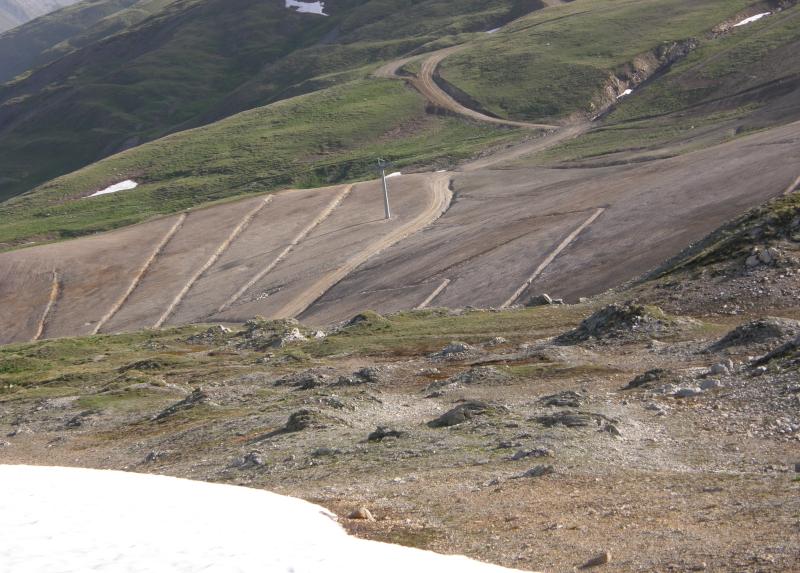 Paesaggio montano, foto di Mattia Brambilla.