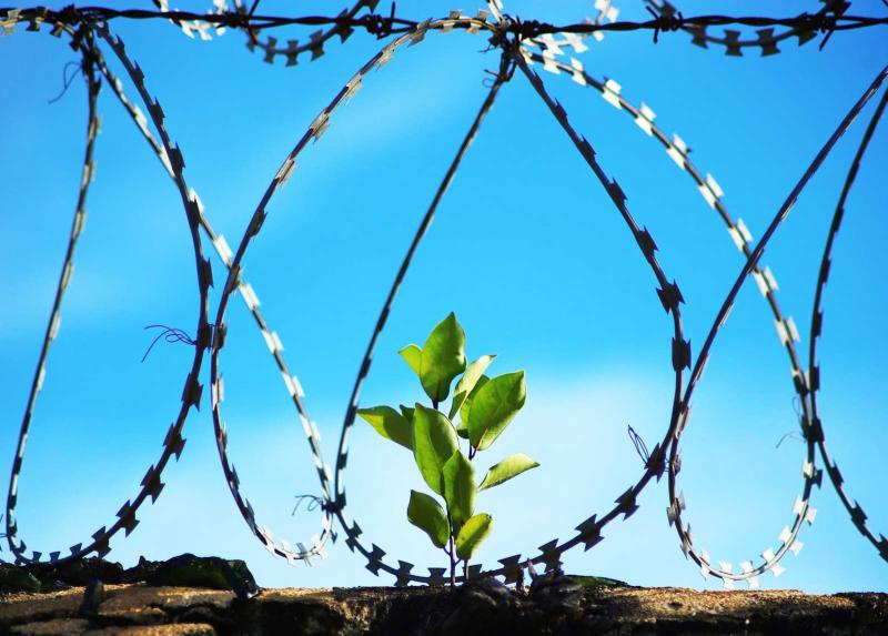 Poli Universitari Penitenziari