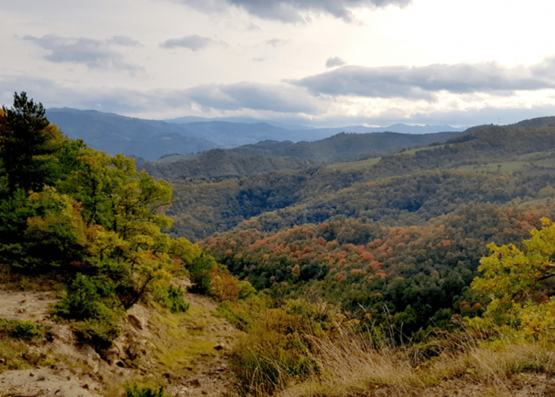 Foreste demaniali della Regione Emilia Romagna