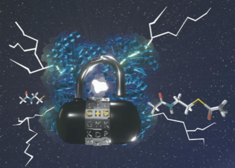 Nuovi catalizzatori per una moderna chimica verde: studio su Nature Catalysis
