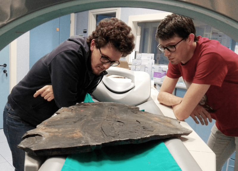 I paleontologi al lavoro per le analisi su un esemplare di Besanosauro