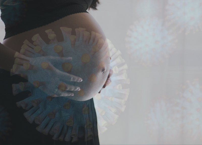 Immagine tratta da Pixaby