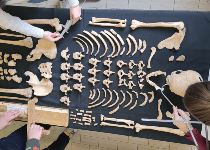 Antropologi del LABANOF al lavoro su uno scheletro della CAL
