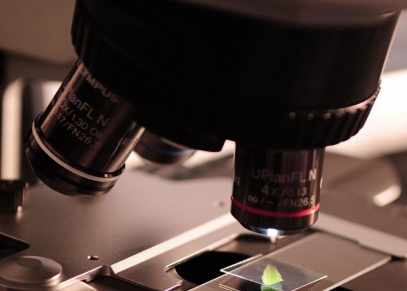 Microscopio in laboratorio