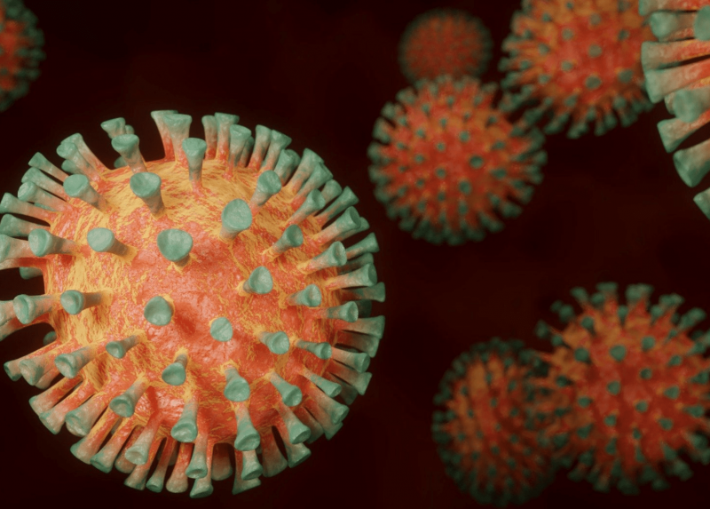 Virus SARS-CoV-2 - Immagine tratta da Pixaby