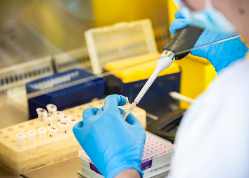 Attività di laboratorio