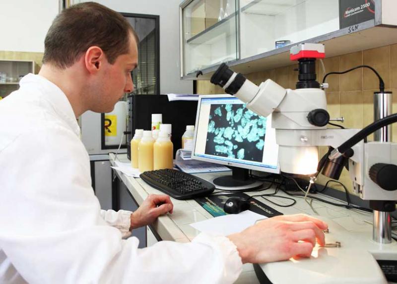 Ricercatore in laboratorio