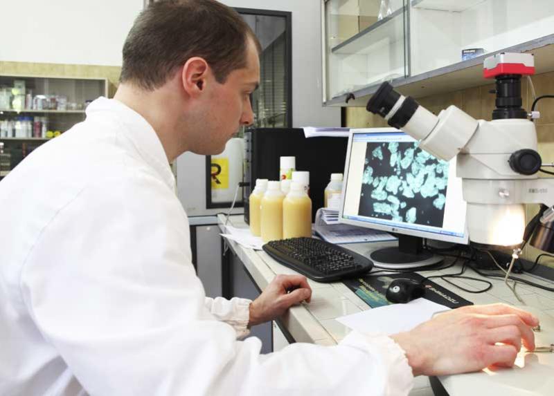 Ricercatore al PC in laboratorio