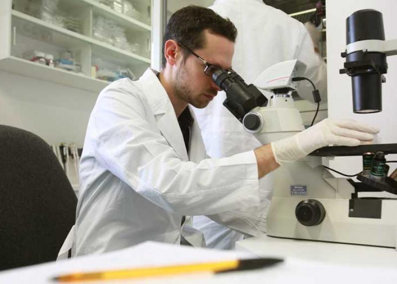 Ricercatore al microscopio