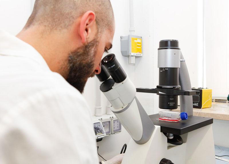 Ricercatore al microscopio