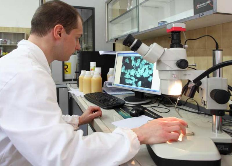 Ricercatore al pc e microscopio 