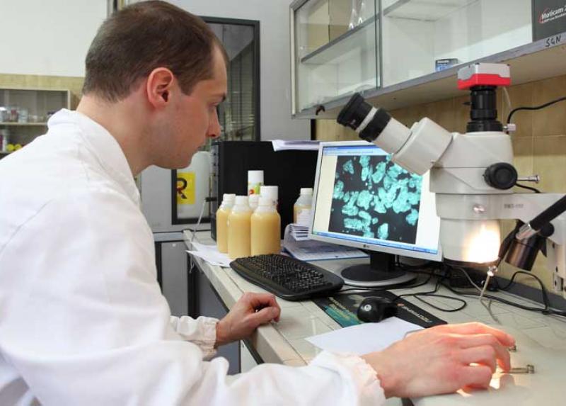 Ricercatore in laboratorio