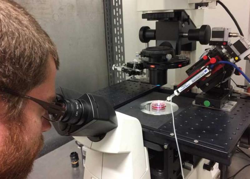 Ricercatore nel laboratorio di Fisiologia vegetale
