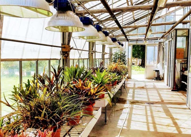 Una delle serre dell'Orto Botanico di Città Studi