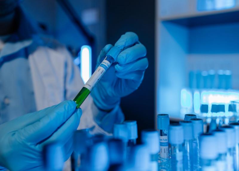 Svelato come il tumore sostiene i suoi processi vitali