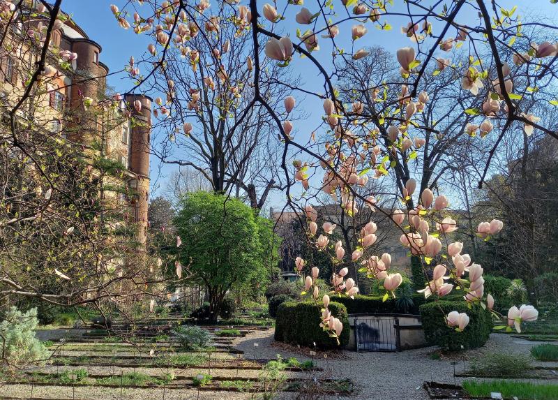 L'Orto Botanico di Brera