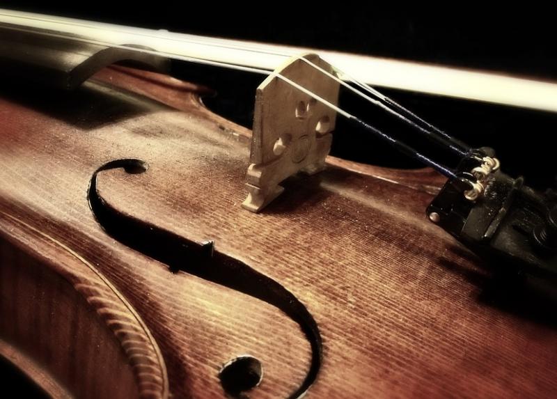 Violino
