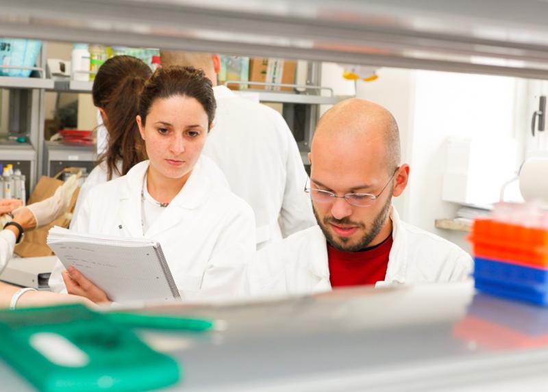 Ricercatori nel laboratorio di Graziella Messina