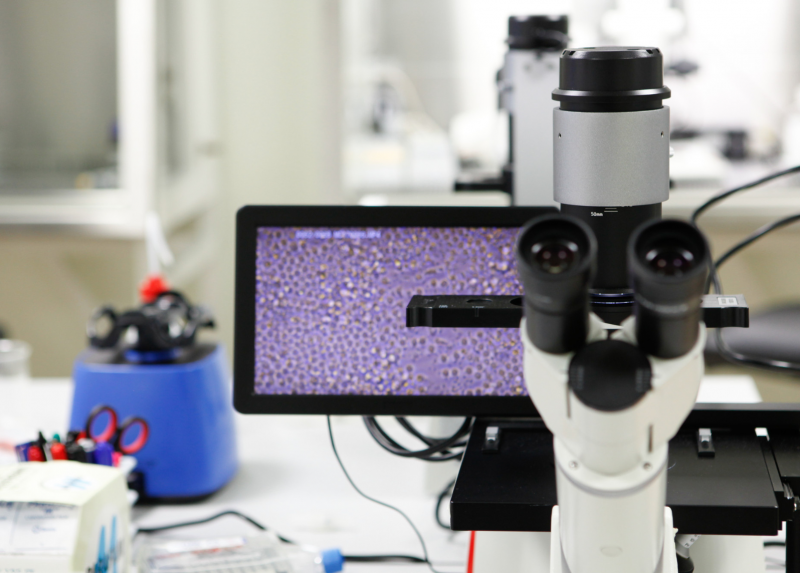 La ricerca nei laboratori dell'Università degli Studi di Milano