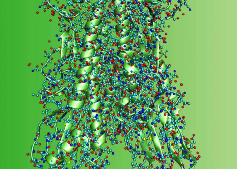 Modellizzazione biomolecolare