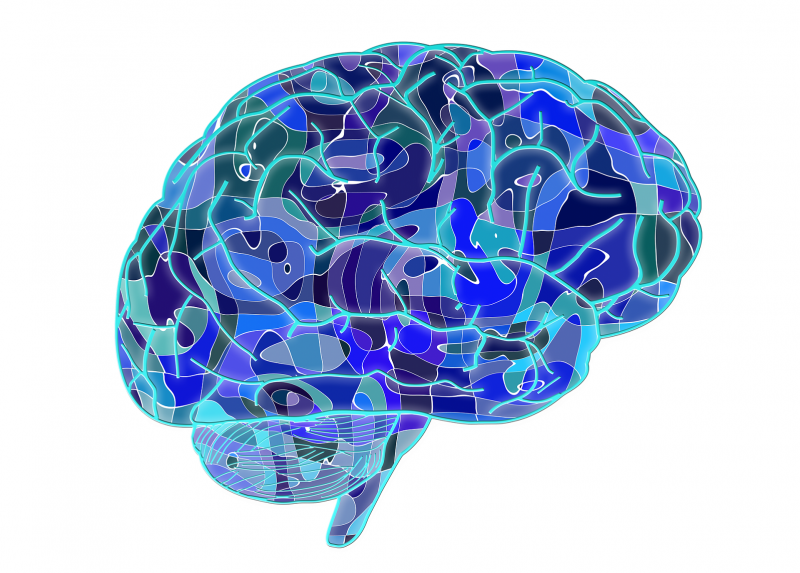 Un'immagine astratta del cervello