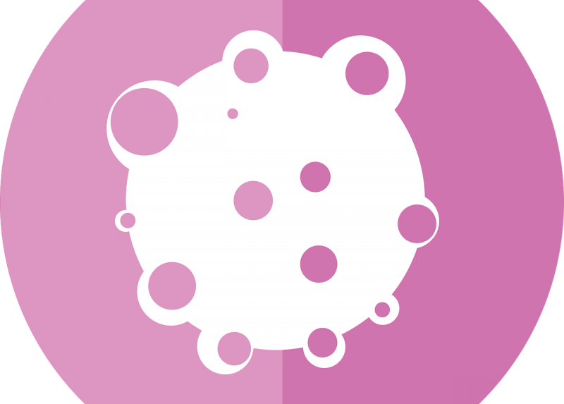 Immagine tratta da Pixaby