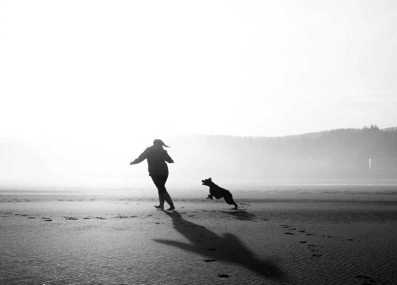 Un cane con il suo padrone